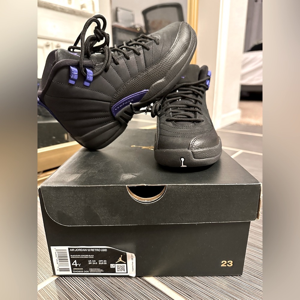 Dark Concord Jordan 12s